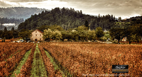 Ehlers Fall Perspective_sepia