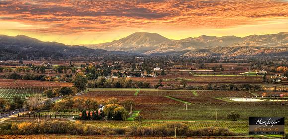 Winery Valley