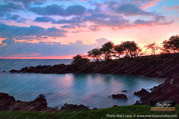 Kona Purple Paradise