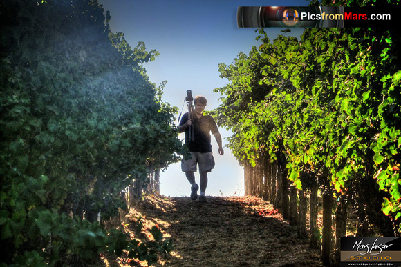 Mars Lasar in the Vineyards