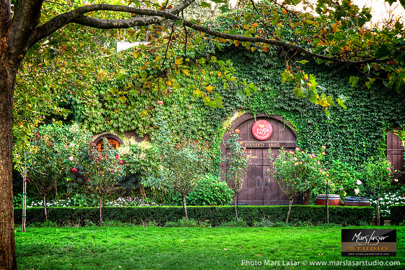 V. Sattui WInery Garden Door