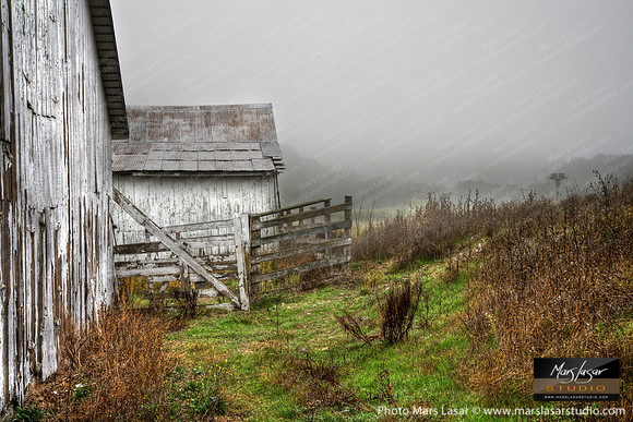 Misty Morning Barns