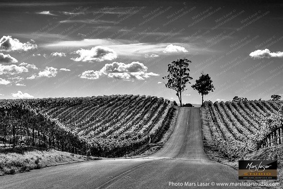 Road To Happiness B&W