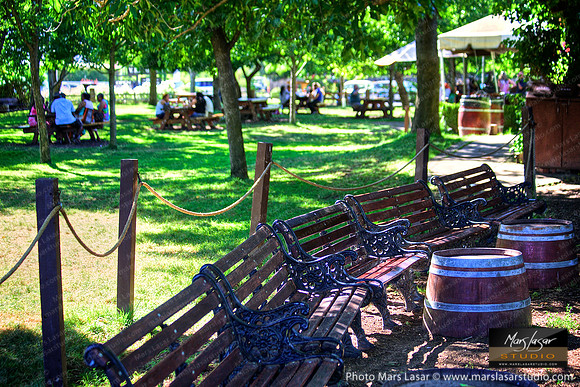 V. Sattui Visitor Lawn with Barrels 1