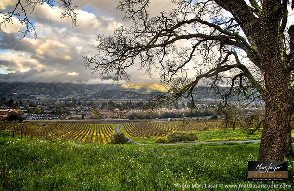 Classic Yountville Winter