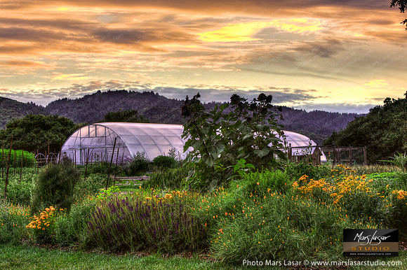 French Laundry Gardens 2