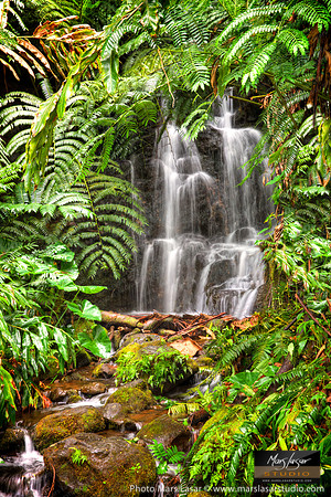 Serene Falls
