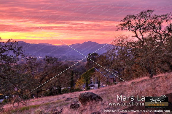 Signorello Sunset