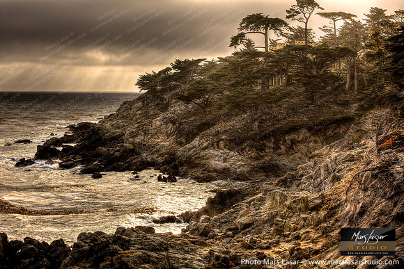 Cypress Seaside