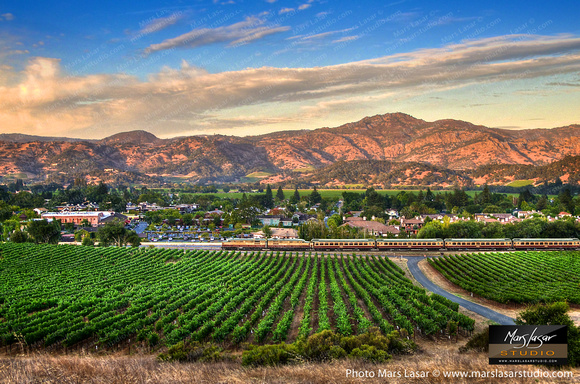 Yountville Summer