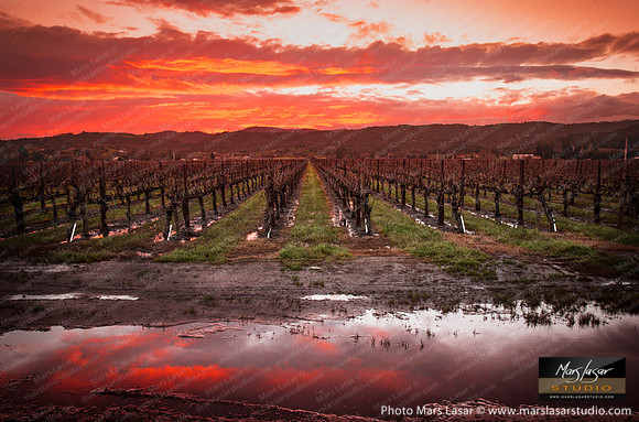 Red Sky Winter