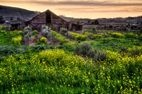 Old Sonoma Mustard Barn