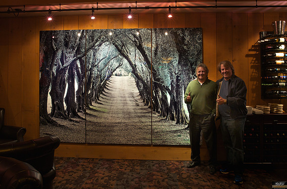 Olive Tree Lane - Installation