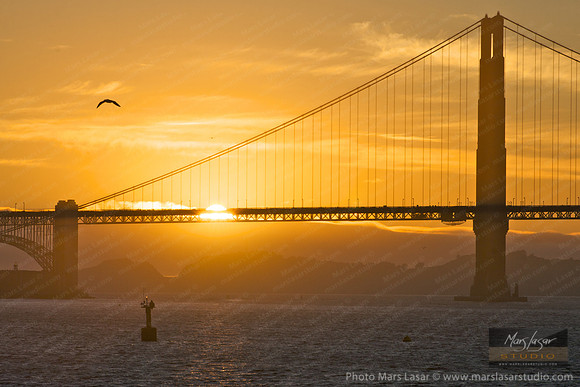 Golden Gate Sunset