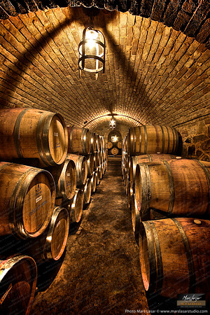 Castillo De Amorosa Barrell Room 2