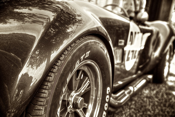 Cobra Lovin