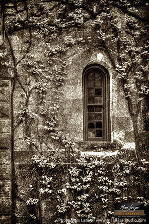 Montelena Window