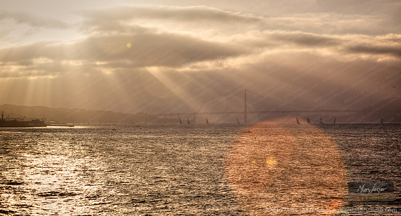 San Francisco Afternoon Light
