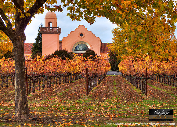 Groth Winery Fall