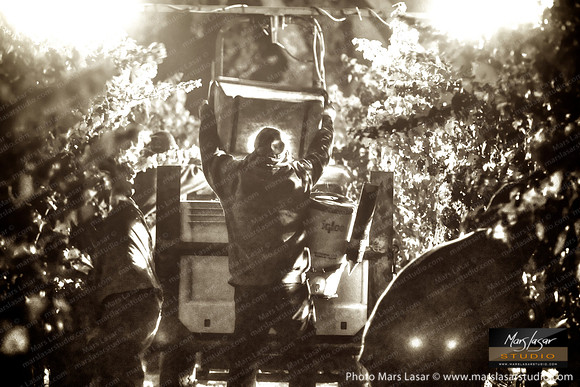Peju Sacred Harvest_sep
