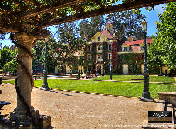 Sunny Inglenook Winery 2