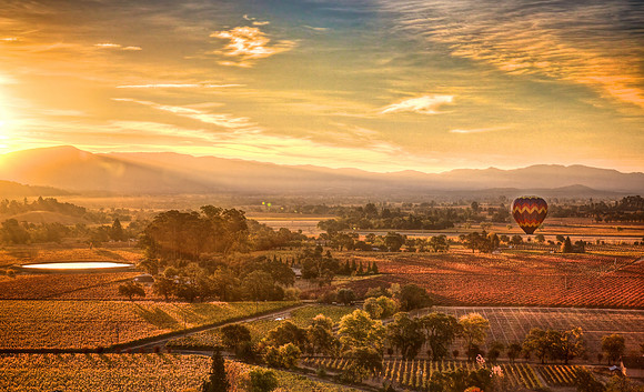 Napa Valley Fall Sunrise