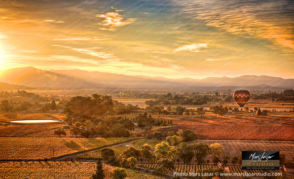 Napa Valley Fall Sunrise