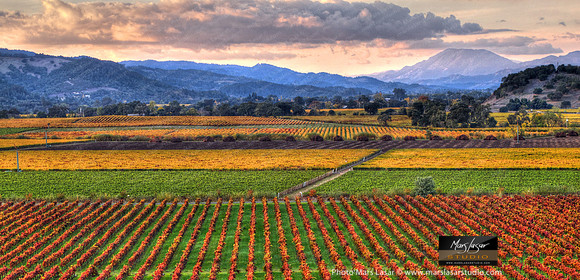 Chandon Vista 4_pan