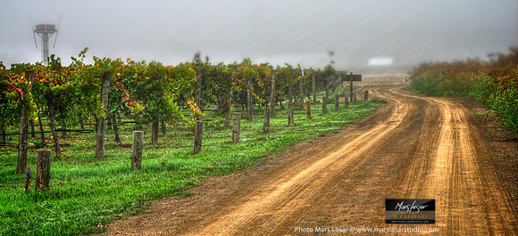 Misty Cabernet Lane