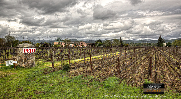 Peju Dramatic Spring