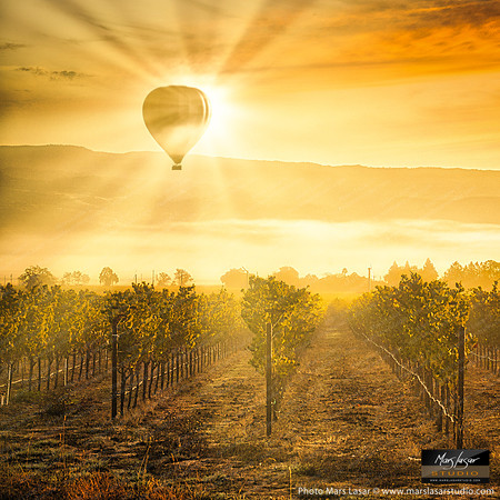 Napa Valley Illumination_sq