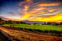 Rutherford Summer Sunset