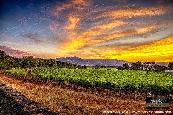 Rutherford Summer Sunset