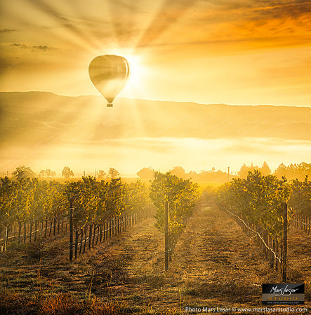 Napa Valley Illumination_sq