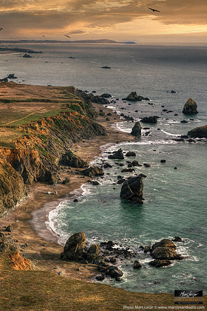 Gulf Rock Plateau_vert