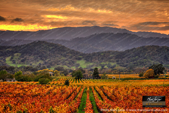 Classic Napa Valley 2