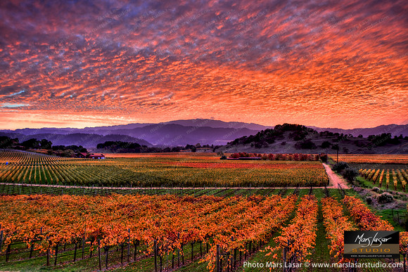 Napa Valley Sunset