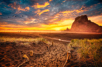 Endless Summer