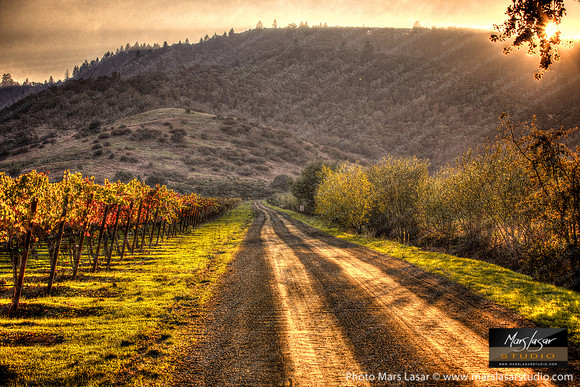 Old Vineyard Road