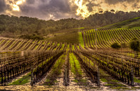turbulent spring
