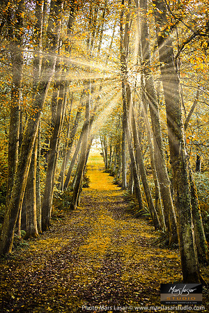 The Right Path