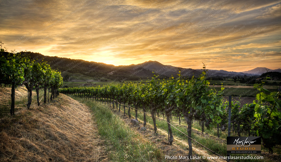 Chandon Summer Glow