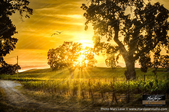 Paso Golden Hour