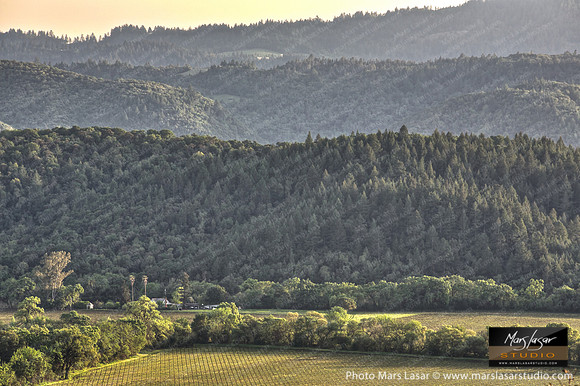 Living In The Valley