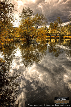 Dramatic Montelena_vert