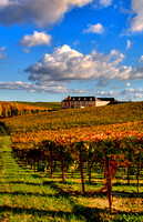 Domain Carneros_vert