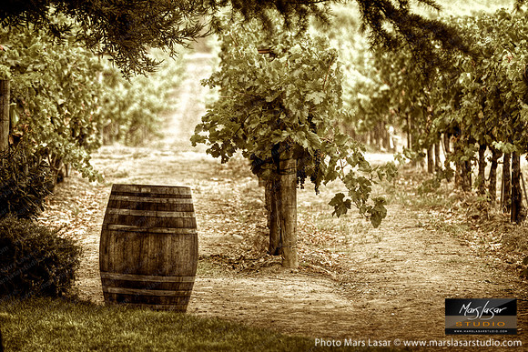 One Wine Country Barrel