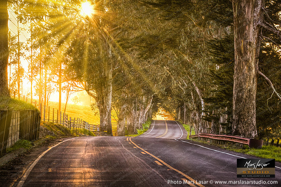 The Road To You