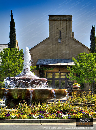 Franciscan Winery Summer 5