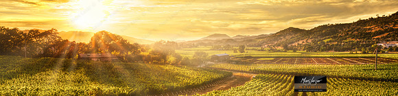 st helena sunshine_pan